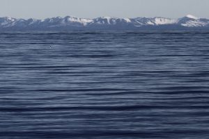 Chile es el primer país en ratificar tratado internacional para proteger biodiversidad del Océano