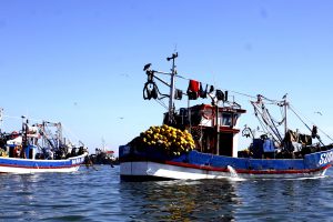 Trabajadores Pesqueros piden a autoridades impedir colusión en licitaciones con rol de FNE