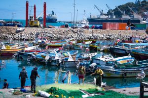 Ley de Pesca: Aprueban iniciativa de nueva plataforma social para pescadores artesanales