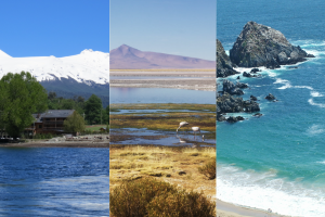 Verano rutero: Nueva guía de viajes para vacacionar en auto, camper o motorhome por Chile