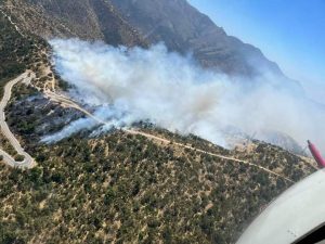 VIDEO| Incendio forestal con rápido avance y en día con 36°C se registra en cuesta Lo Prado