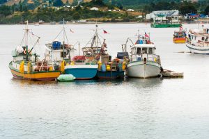 Sardina 100% a la pesca artesanal por estar en sus 5 millas de reserva piden en nueva Ley