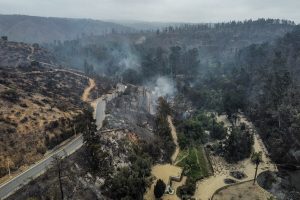 Las impactantes imágenes del Jardín Botánico de Viña tras ser consumido por incendio