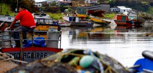 Nueva arremetida salmonera contra ley que entrega protección de mares a pueblos originarios