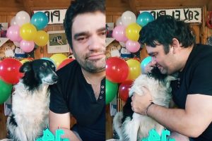 VIDEO| "Nunca nos abandonamos": Tiktoker celebra cumpleaños de su perro y emociona a todos