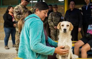 Hospital veterinario en Quilpué recibe recursos para mascotas hospitalizadas por incendios