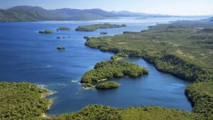 Ponen a la venta una "isla virgen" en la Patagonia chilena: Vale más de $35 mil millones