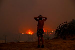 Para regular forestales e inmobiliarias: Las leyes contra incendios que esperan en el Congreso