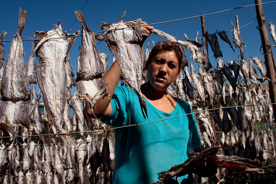 Paridad y personalidad jurídica: Pesca artesanal inclusiva con las mujeres gracias a nueva ley