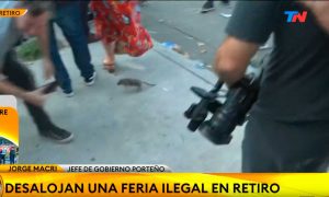 VIDEO| Ratón provoca gritos de terror en punto de prensa, pero tuvo triste final