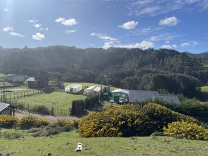 Nueva técnica mapuche: Instalan invernaderos inteligentes para producir hortalizas con poca agua