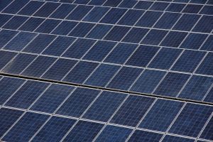 Paneles en vez de cultivos: Colbún en alerta por proyectos de energía solar en suelos agrícolas