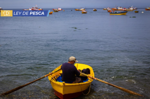 Pescadores artesanales se despliegan en Congreso: Ximena Rincón les prometió leer proyecto