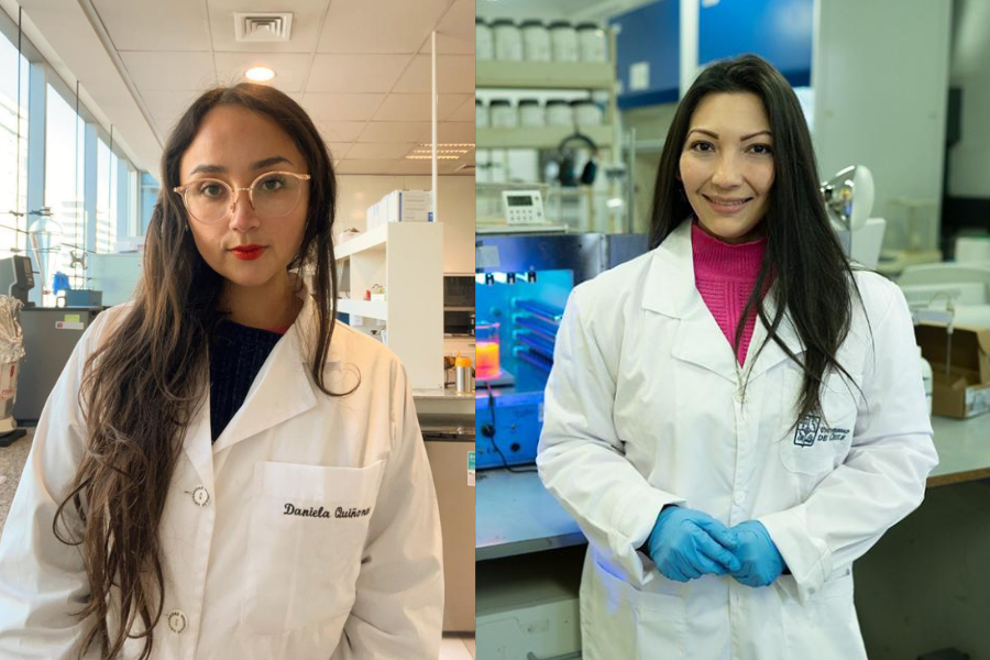 Investigadoras chilenas entre las “25 Mujeres en la Ciencia” en Concurso internacional
