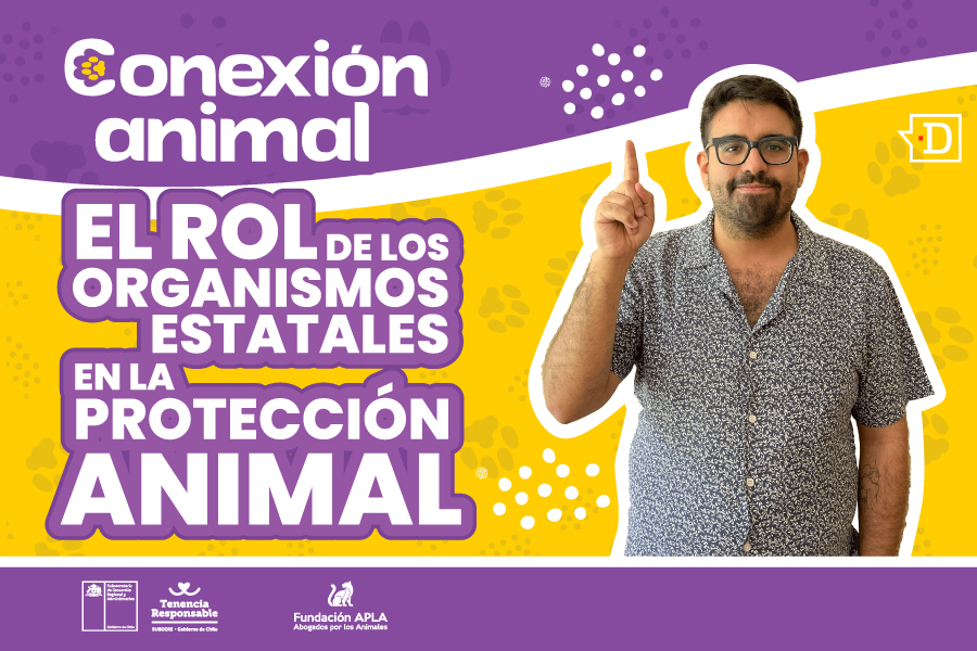 VIDEO| Institucionalidad respecto a la protección animal