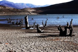 Por robo de agua en zona de sequía: Multan a sanitaria por extracción ilegal en Quilimarí