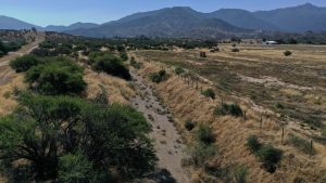 Sequía: Elaboran estrategias hídricas con capacitación y monitoreos para 30 comunas de RM
