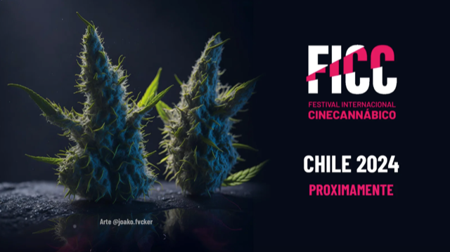 Para derribar prejuicios sobre «diversos usos» llega a Chile Festival de Cine Cannábico