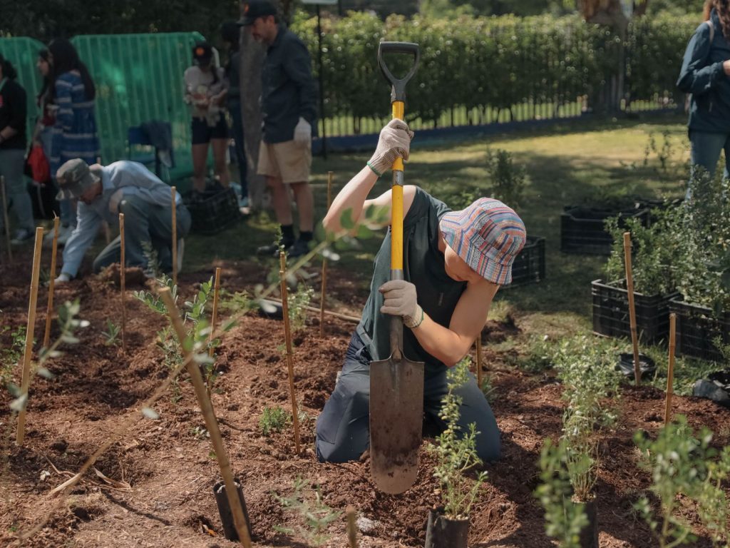 Jóvenes plantarán más de 100 mil árboles en islas de calor de la Región Metropolitana