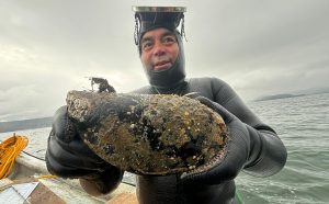 De 816 gramos y 32 centímetros: Hallan choro gigante en Bahía de Corral, Los Ríos