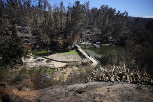 El millonario plan del gobierno para recuperar Jardín Botánico y Reserva Lago Peñuelas