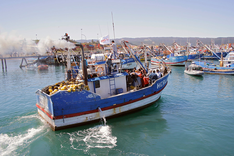 Protestas de pescadores artesanales en Biobío: Piden poder capturar jurel ante crisis de sardina