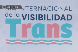 Visibilidad Trans: Un desafío a las heterocianormativas y la inclusión de cuerpos sin categoría
