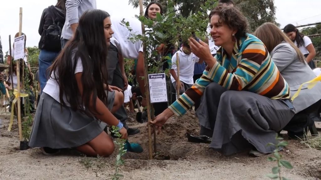 Plantan bosques nativos en el patio de escuelas de Santiago para innovar la educación ambiental