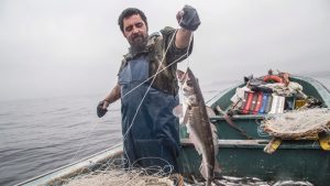 Merluza cumple 11 años en crisis: Pescadores deben navegar más de 30 km para encontrarla
