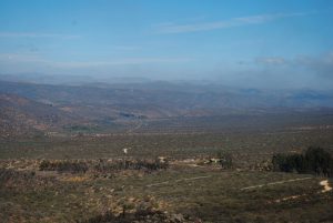 35 años de investigación: estudio de Parque Fray Jorge se ve afectado por la sequía