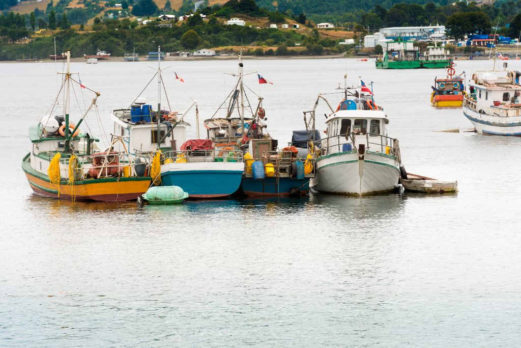 Pescadores artesanales organizan 1er Encuentro Nacional para enfrentar nueva Ley de Pesca