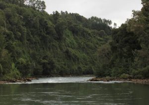 Stanford y Gobierno de Chile medirán el valor económico que genera el Río Bueno en Los Lagos