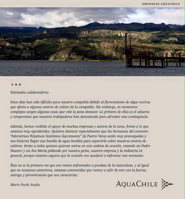 Agua bendita y cadena de oración: la absurda solución de AquaChile a la crisis salmonera