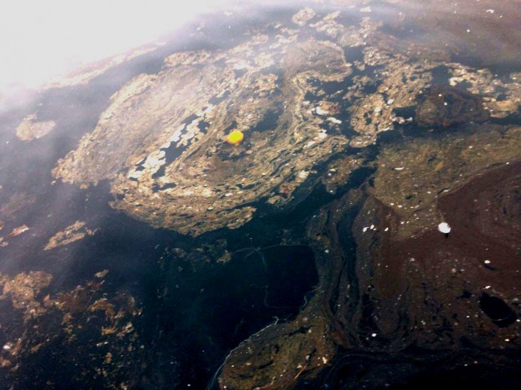 FOTOS| Las imágenes del petróleo en Quintero que increpa a ENAP y desmiente a Sernapesca