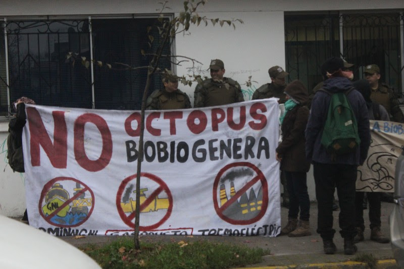 Opositores de Octopus se manifiestan en el Servicio de Evaluación Ambiental en Concepción