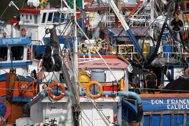 Pescadores artesanales insisten en que la DC recibió pagos de las 7 familias de la industria pesquera