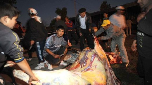 FOTOS| Camión con vacas volcó en Argentina y vecinos faenaron a los animales
