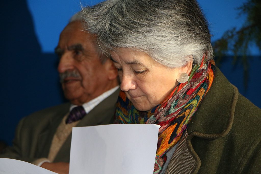Vicepresidente ejecutivo del CRUCh critica nombramiento de Teresa Marshall en U. Aysén: «Invalida los argumentos» de destitución de Pey