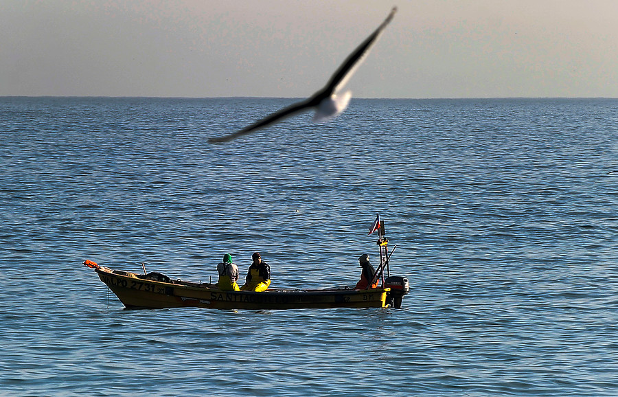 Pescadores artesanales: “Impresentable que Greenpeace nos pida dinero para proteger sustentabilidad cuando apoyó la Ley Longueira»