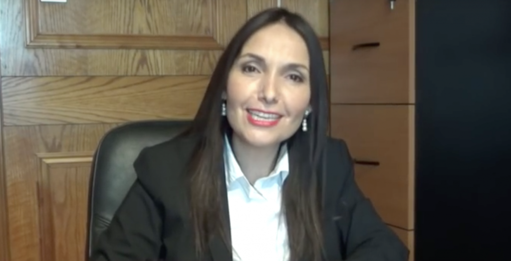 Carola Canelo ahora es youtuber y explica cómo sabotear el sistema educativo chileno