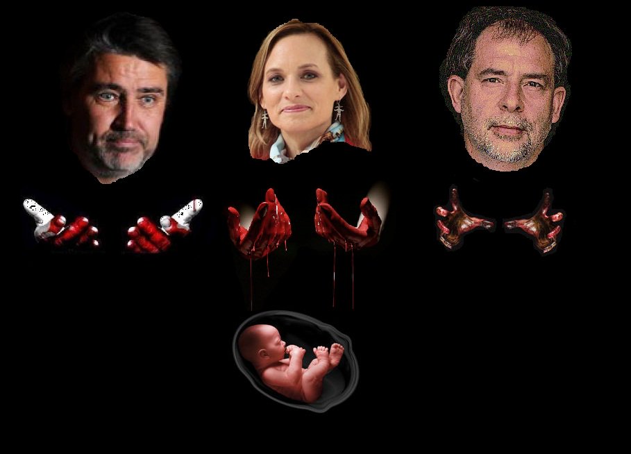REDES| Las delirantes reacciones de los grupos pro-vida tras la aprobación del aborto en 3 causales