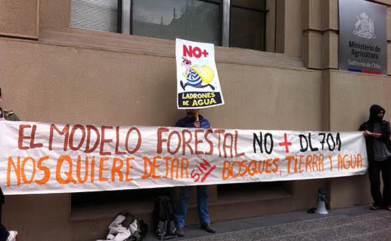 110 organizaciones sociales piden fin al modelo forestal y denuncian responsabilidad empresarial en catástrofe