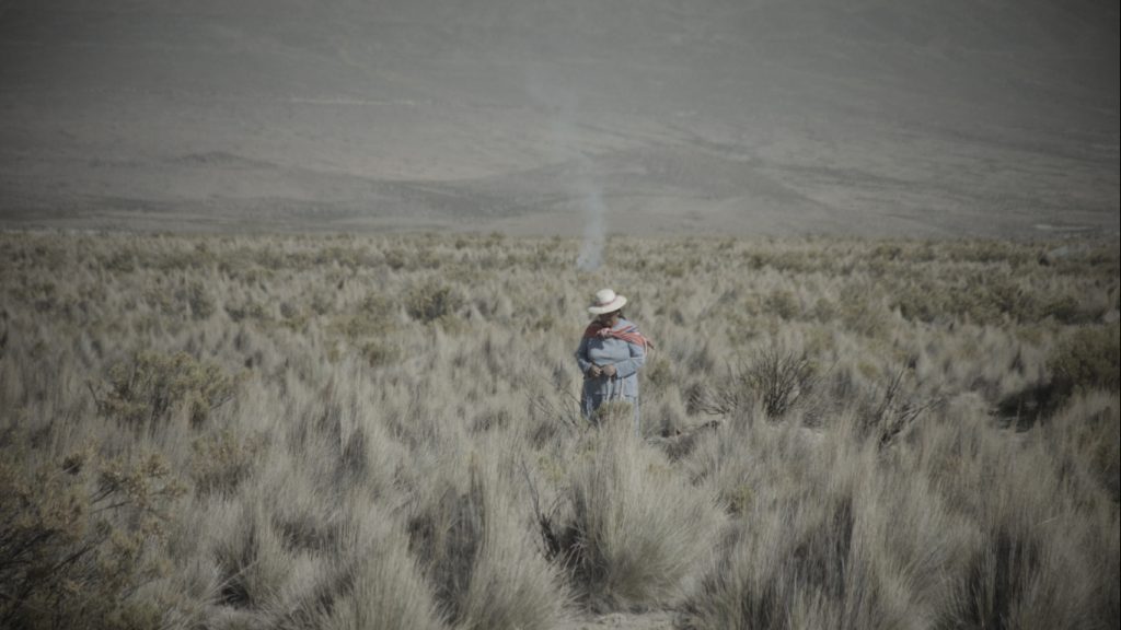 Ricardo Villarroel, director de «Pastora»: El documental que retrata la maternidad aymara en Chile