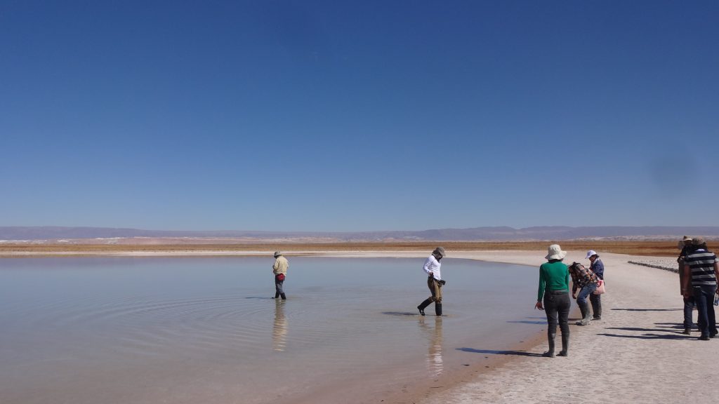 San Pedro de Atacama: Las aguas de la Laguna Cejar no serán más aptas para el baño por alto nivel de arsénico