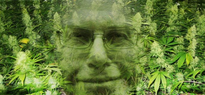 El «marihuanismo leninismo» responde: La carta del director de Revista Cáñamo a Mario Waissbluth