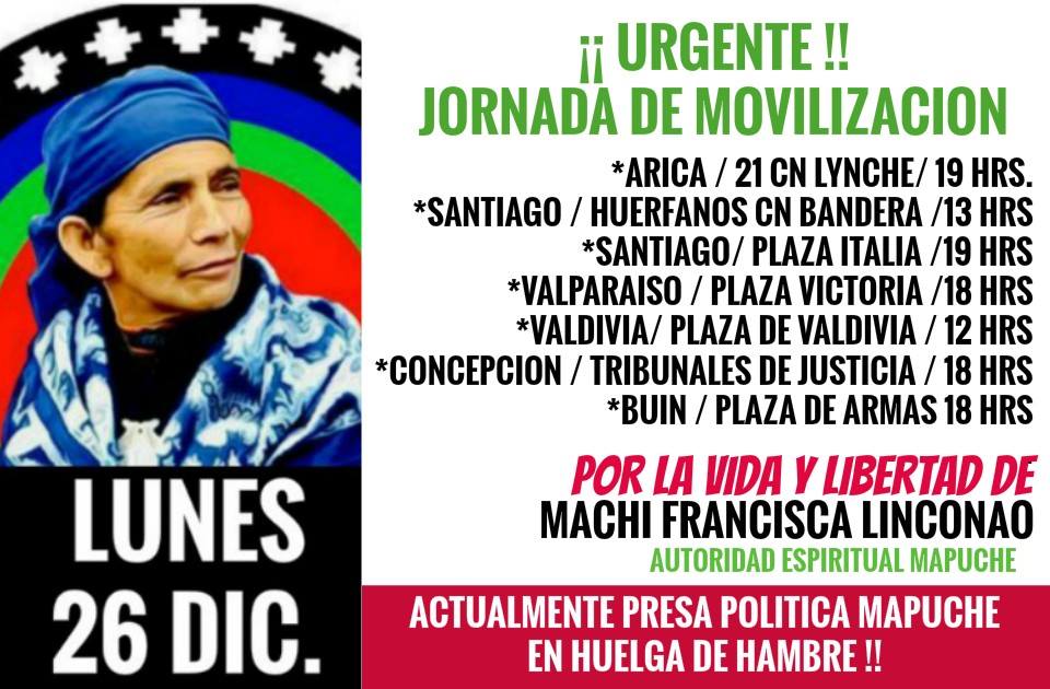 Llaman a movilizaciones en todo Chile por libertad de Machi Francisca Linconao
