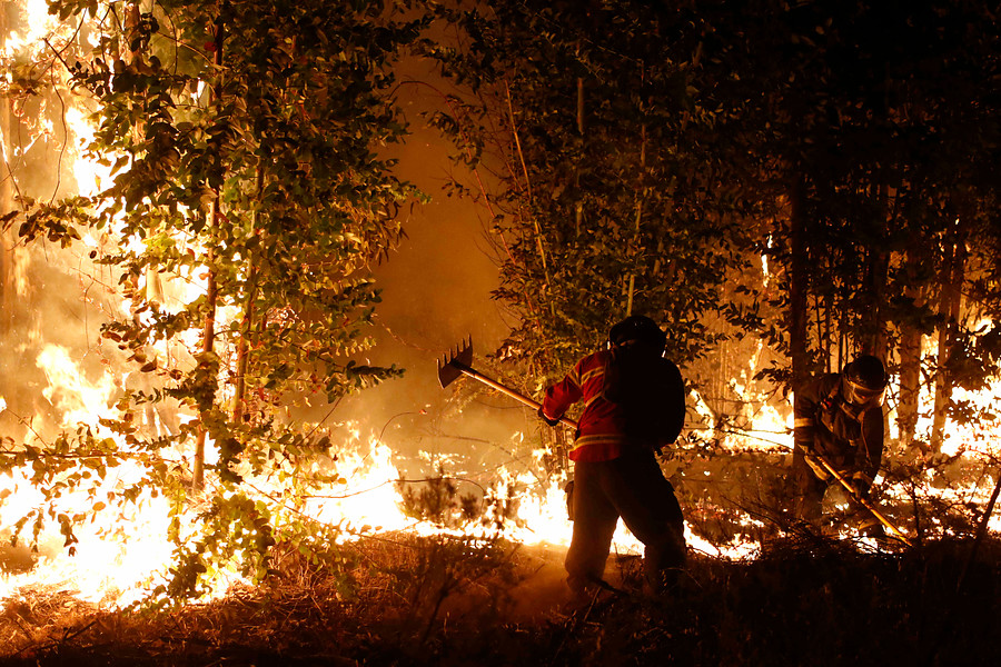 Incendios en Áreas Silvestres Protegidas en los últimos ocho años equivalen a 50 mil canchas de fútbol