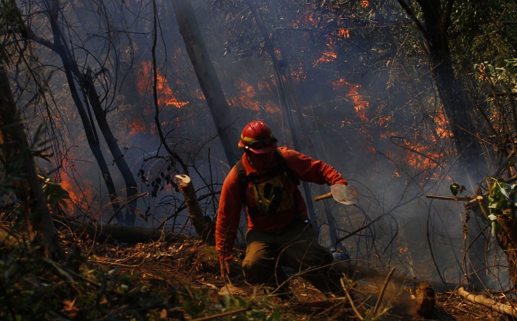 Bachelet: «Enfrentamos el peor desastre forestal de nuestra historia»