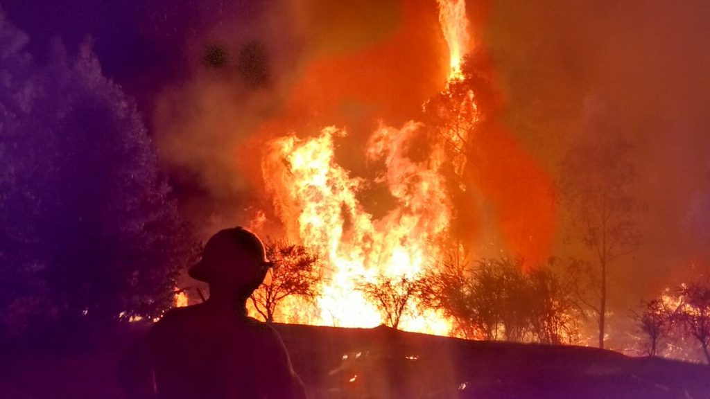 FOTOS| Incendio en Pumanque arrasa con más de 25 mil hectáreas