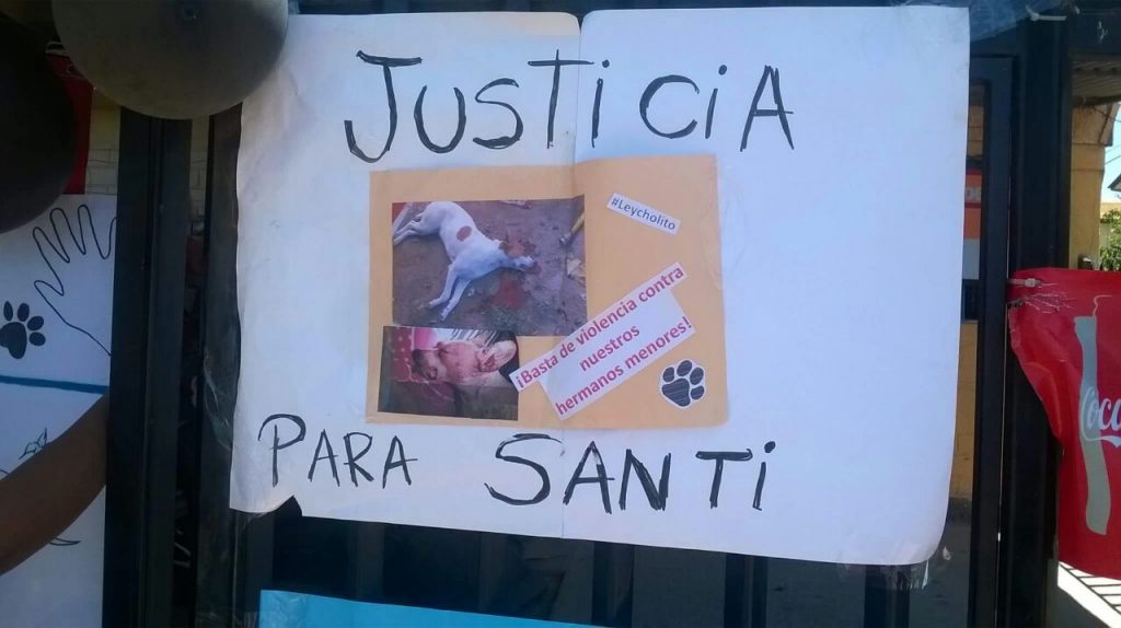Lo mataron como a «Cholito»: Nuevo caso de maltrato animal en Ovalle